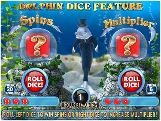 Dolphins Dice