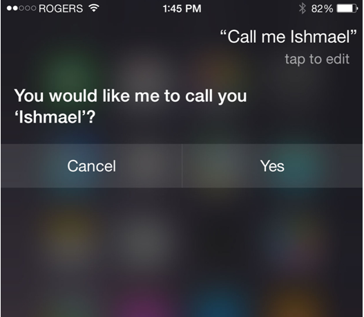 What is in a name Siri