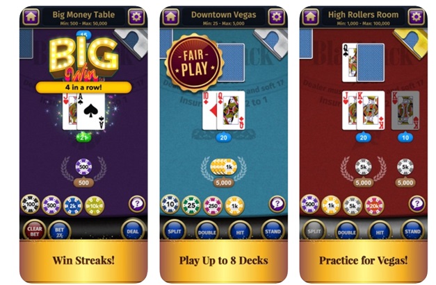 Blackjack – Casino Card Game