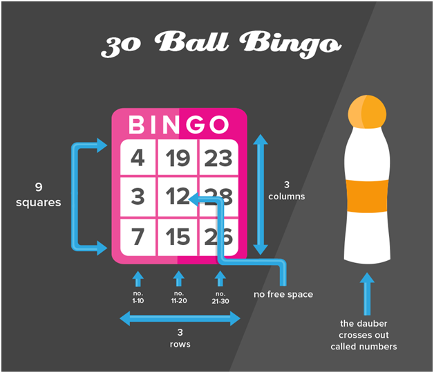 30 ball bingo game play