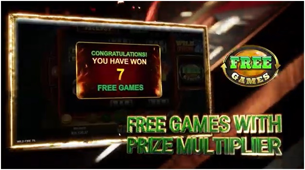 Wild Fire 7s slot game features